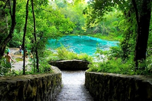 Une piscine naturelle entourée d’une végétation luxuriante, accessible par un sentier en pierre.