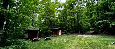 A forested area with two small wooden cabins and picnic tables.