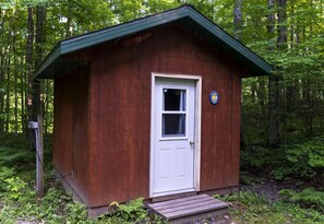 Una pequeña cabaña de madera con puerta blanca y ventana, rodeada de un bosque denso.