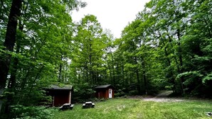 A forested area with two small wooden cabins and picnic tables.
