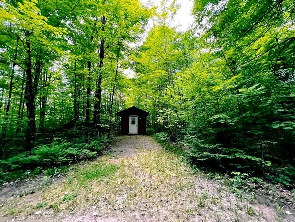 A forest path leading to a small cabin.