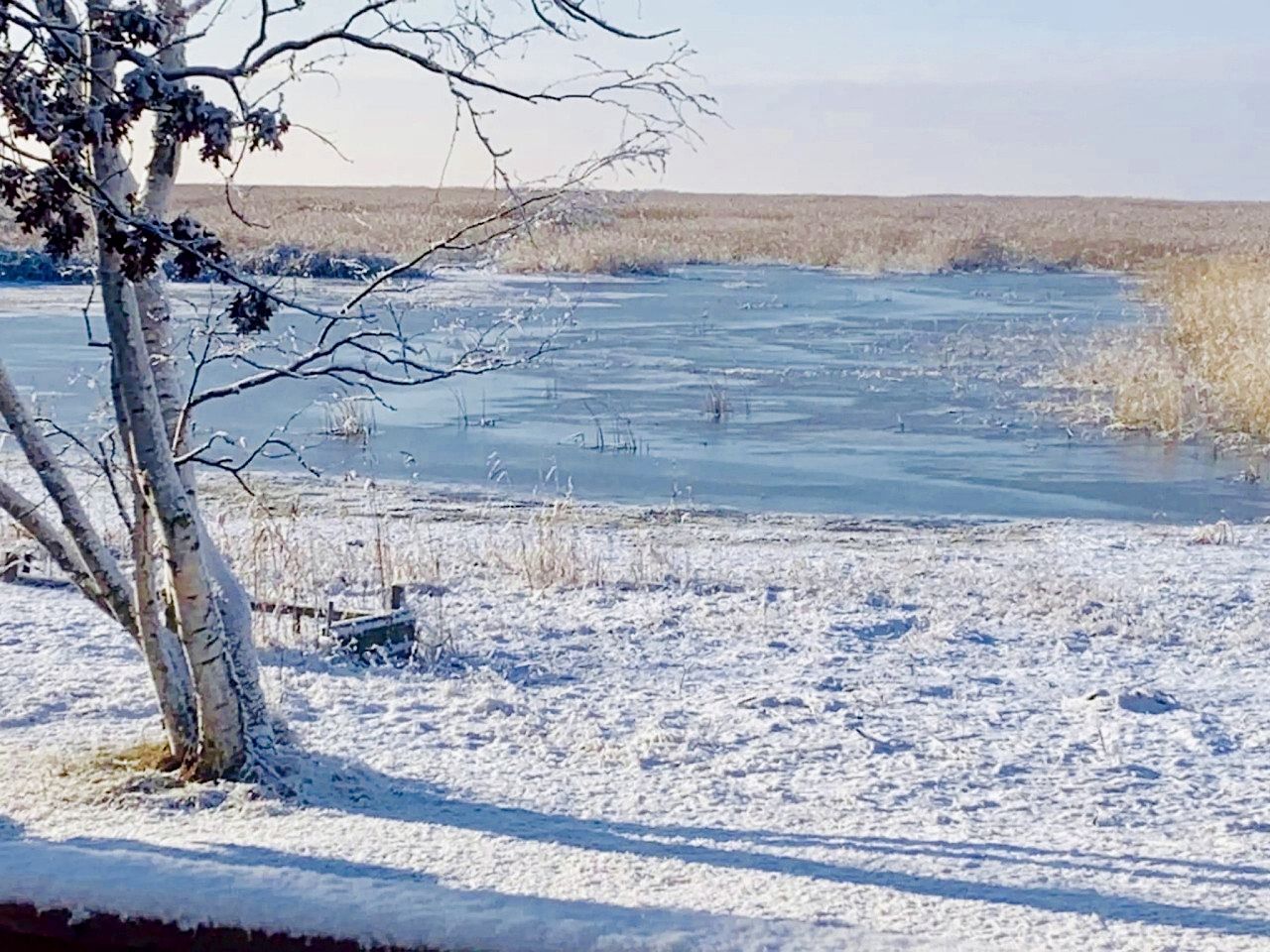 Lumipeitteinen maisema, jossa on jäätynyt vesialue, puu ja kaukainen horisontti.