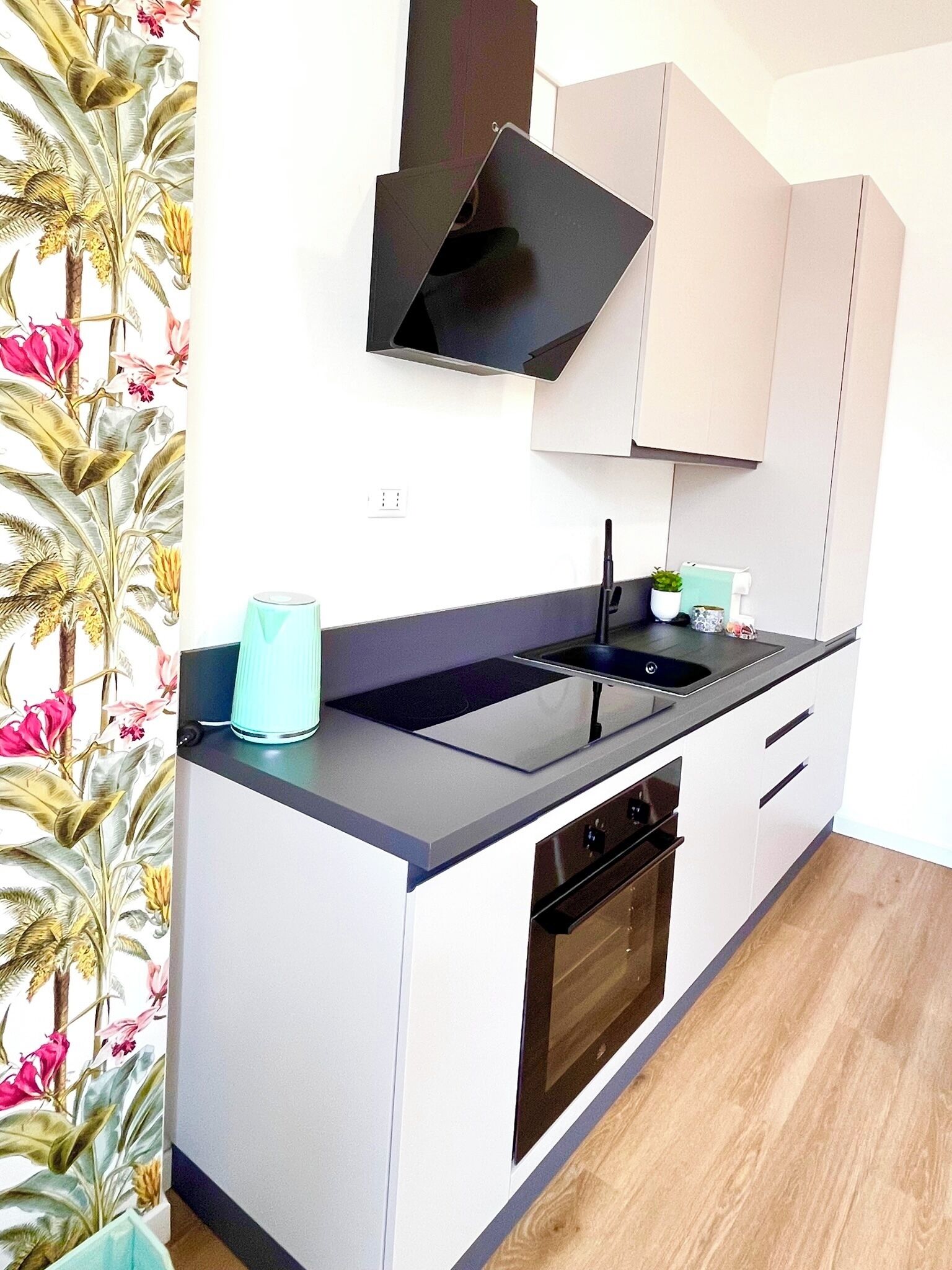 Fridge, oven, stovetop, coffee/tea maker