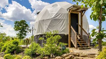 A geodesic dome structure with a wooden staircase leading to a door, surrounded by a garden with various plants and a clear sky.