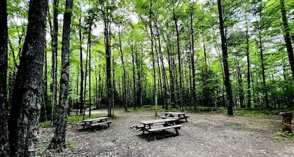 Couples Cabin Close to Wolf River for a Peaceful Escape near White Lake, Wisconsin