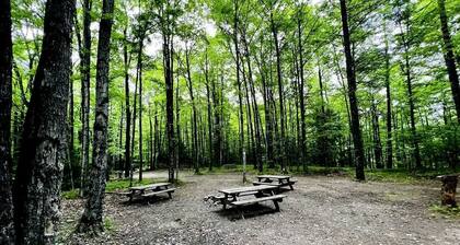 Couples Cabin Close to Wolf River for a Peaceful Escape near White Lake, Wisconsin