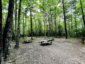 Uma floresta com mesas de piquenique.