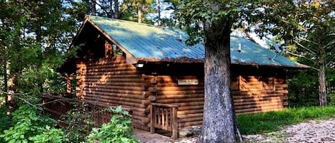 Une cabane rustique en rondins de bois, surmontée d’un toit en métal, entourée d’arbres et dotée d’une terrasse en bois.