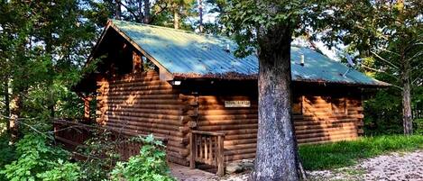 A rustic log cabin with a metal roof, surrounded by trees and a wooden deck.
