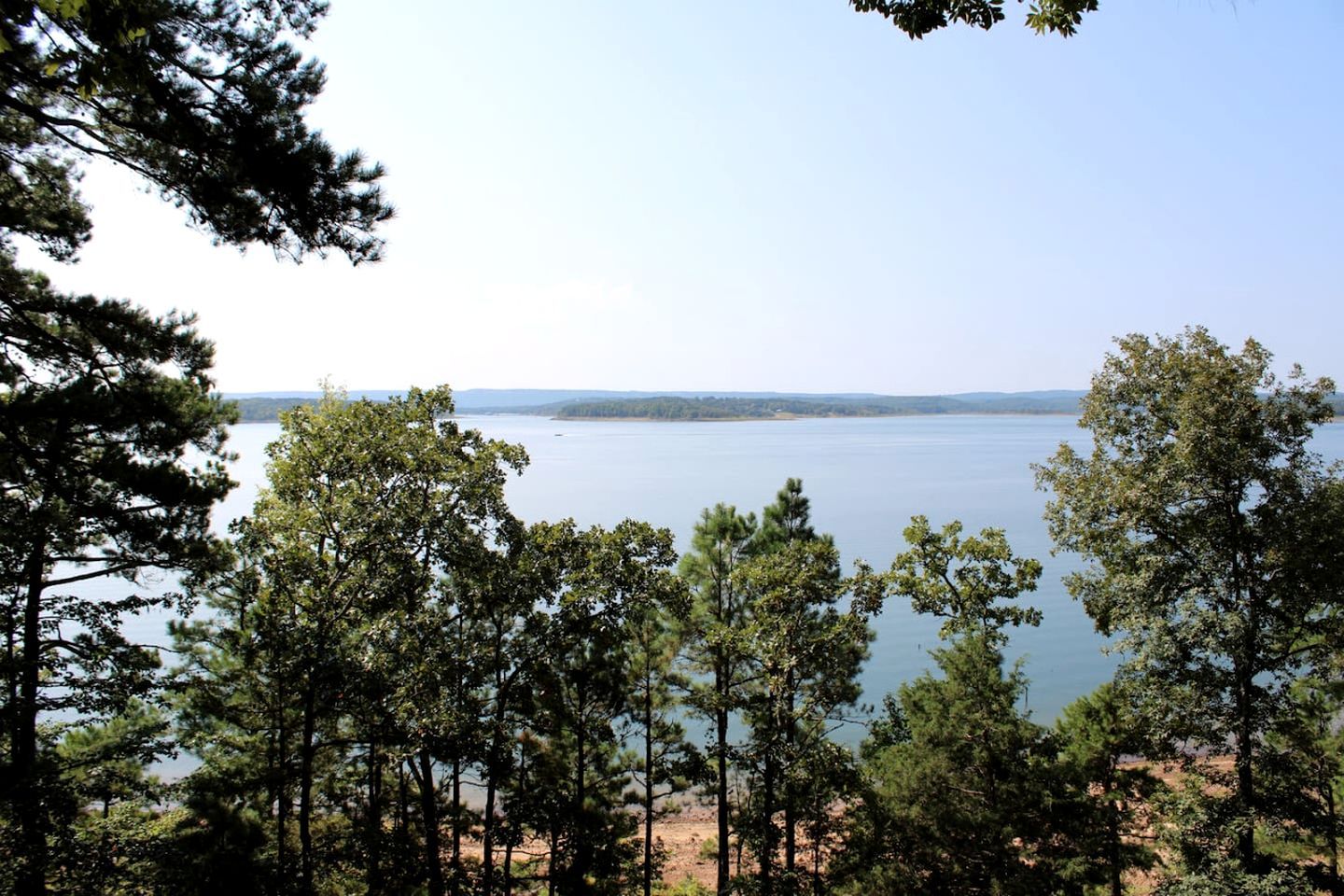 A view of a lake surrounded by trees.