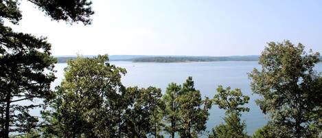 A view of a lake surrounded by trees.