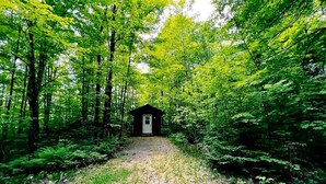 Un sendero en el bosque que lleva a una cabaña pequeña.