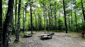 Un bosque con mesas de picnic.
