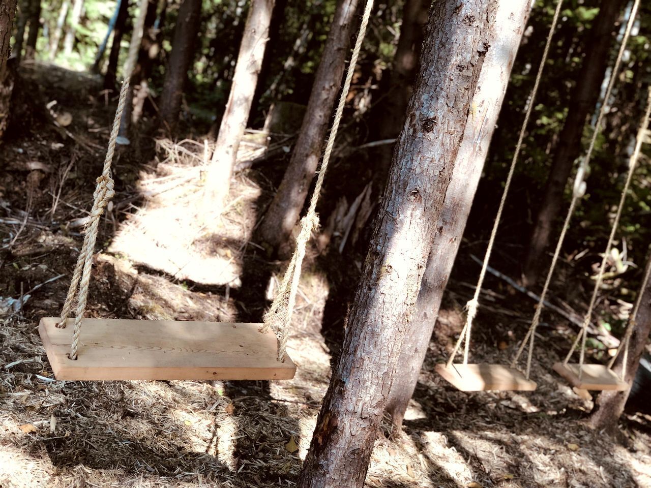 Divers