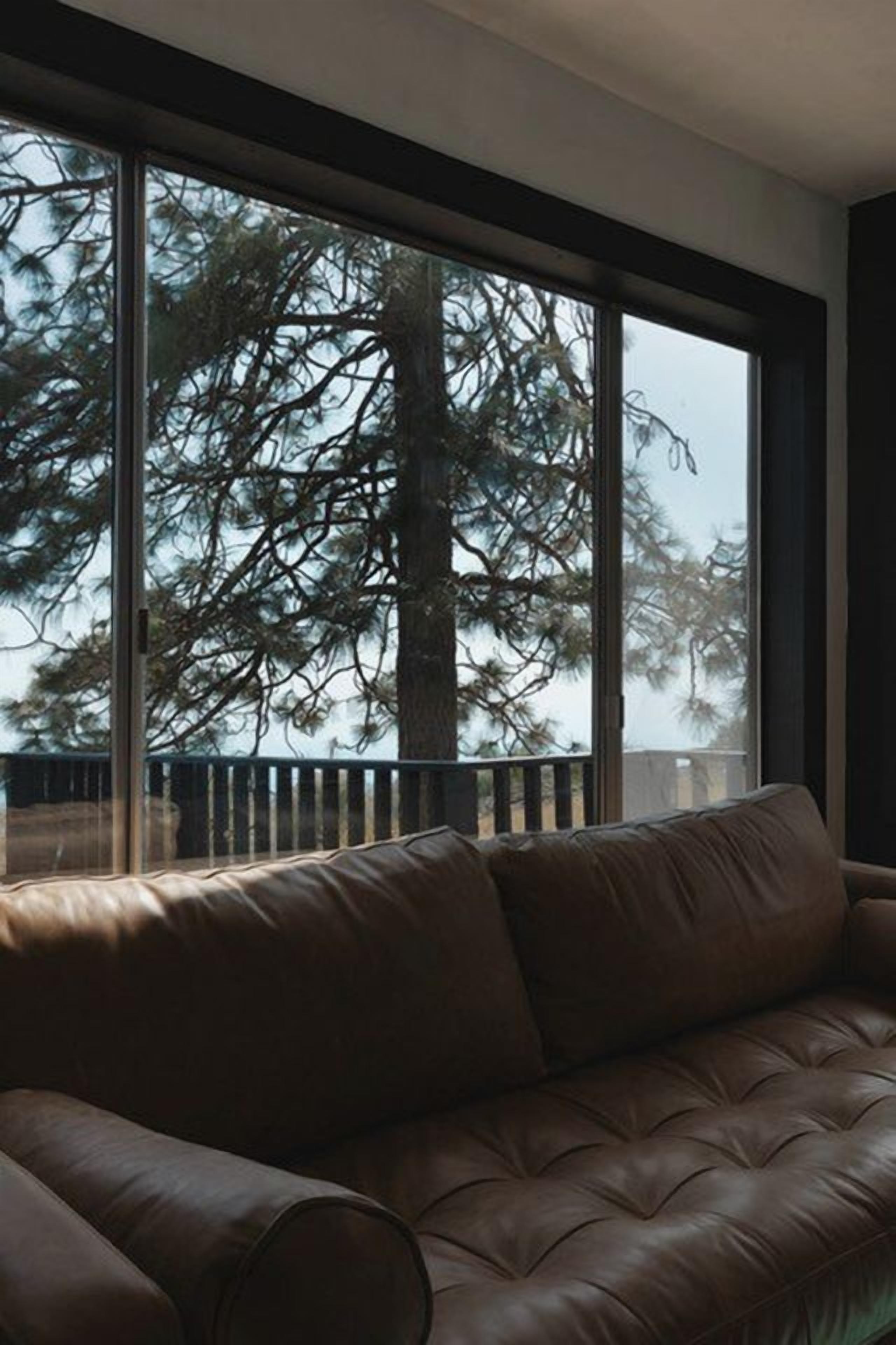 A brown leather sofa in a room with large windows overlooking a tree.