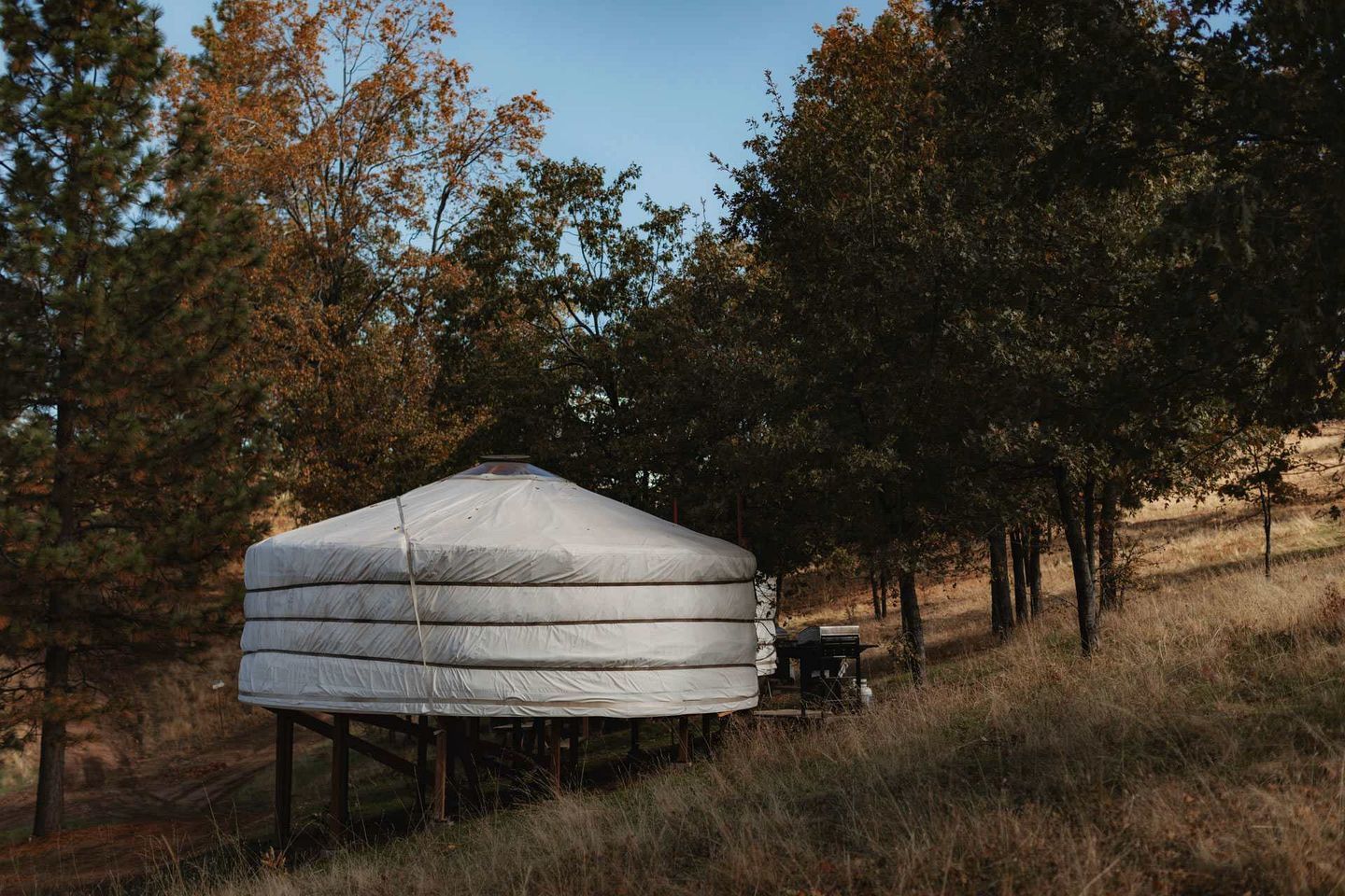 A yurt with a simple, functional design, situated in a natural setting with trees and grass.