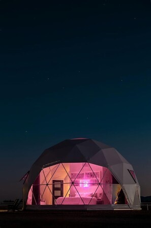 A geodesic dome structure with a visible interior room layout, including a bed and a desk area. - Luminous Cozy Dome with a Barbie Collection Above Bed in Willcox, Arizona (Wilcox)