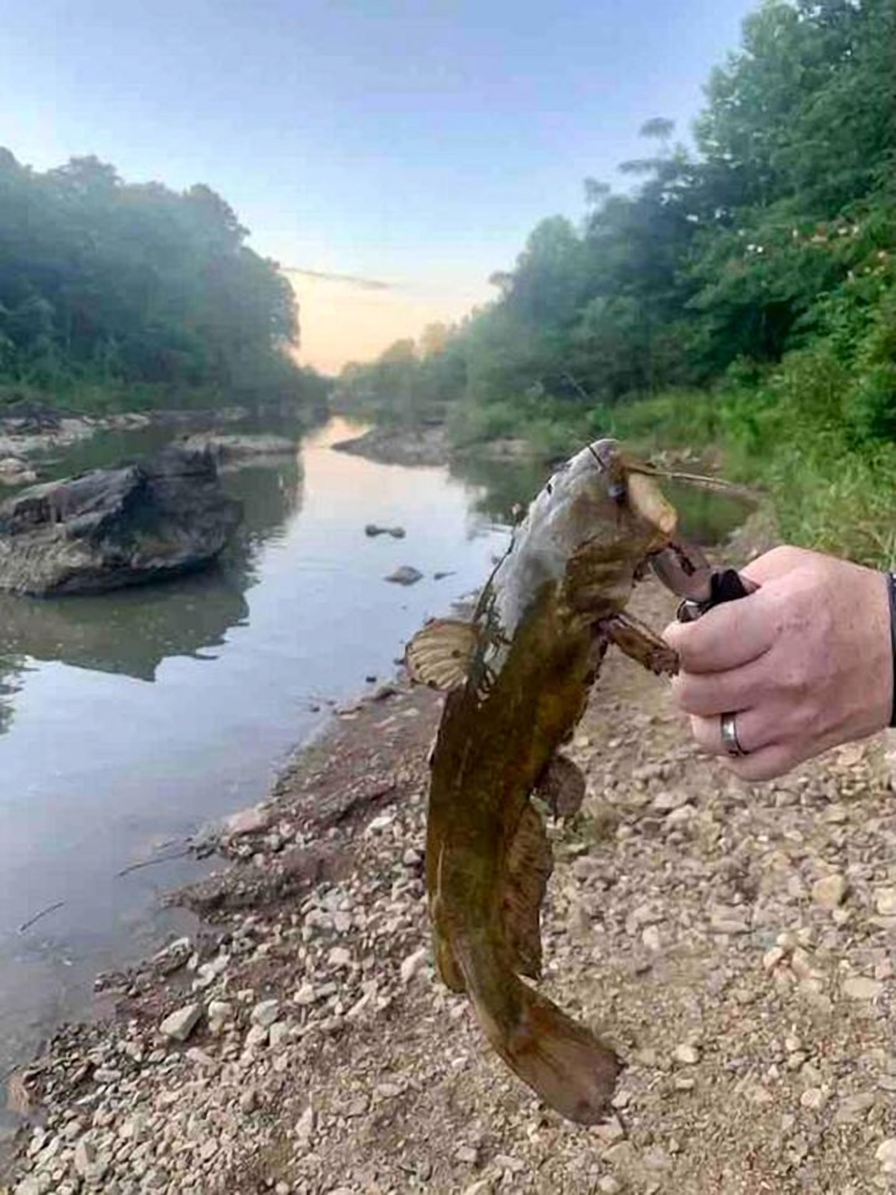 Uma pessoa segurando um peixe às margens de um rio.