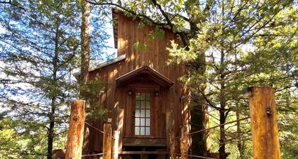 Gorgeous Chic Treehouse with Lofted Interior and Panoramic Views in Arkansas