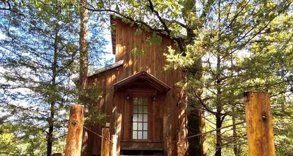 Gorgeous Chic Treehouse with Lofted Interior and Panoramic Views in Arkansas