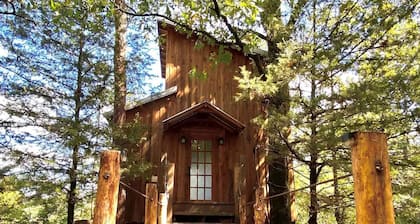 Gorgeous Chic Treehouse with Lofted Interior and Panoramic Views in Arkansas