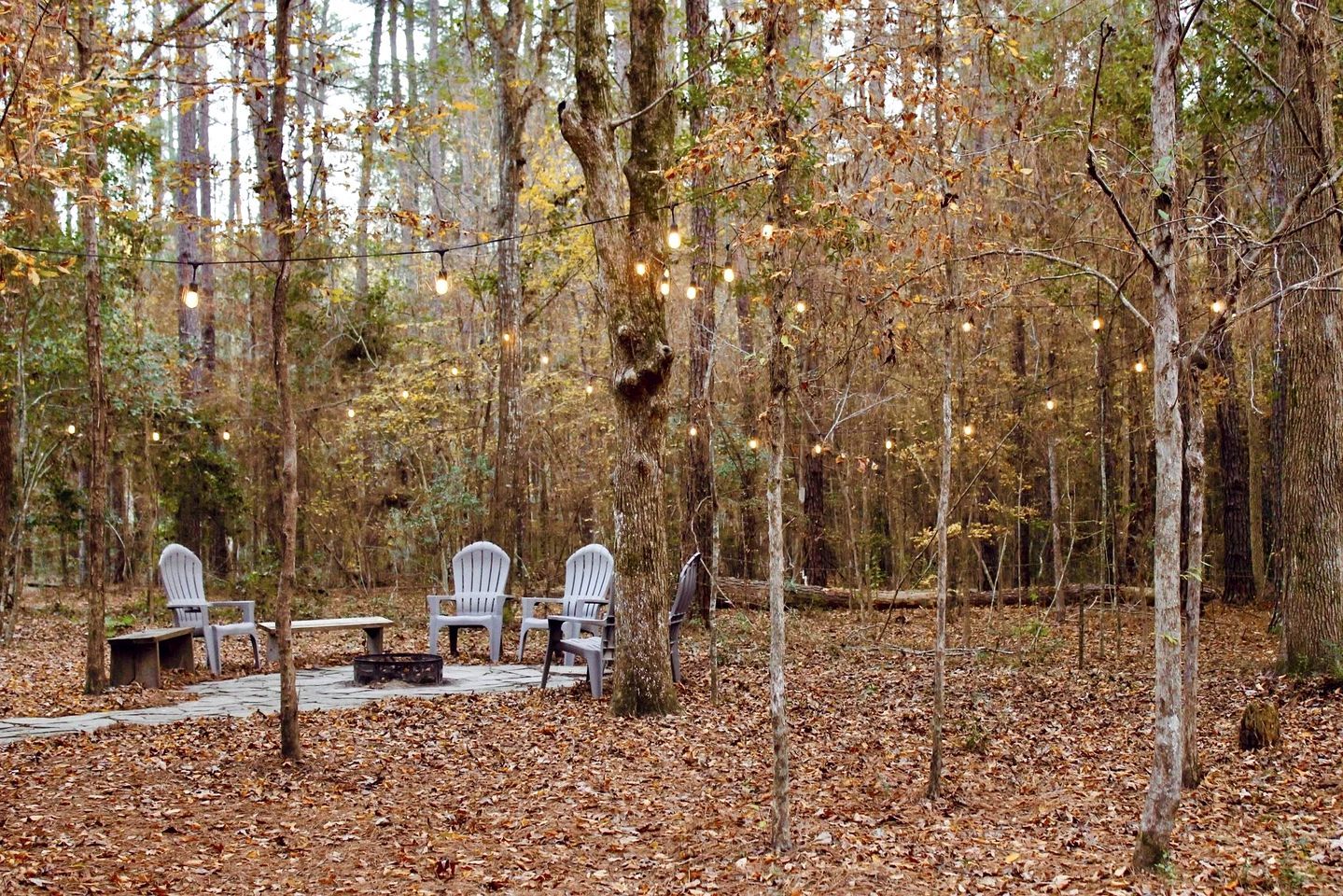 An outdoor seating area with chairs and a table, surrounded by trees and covered in fallen leaves.