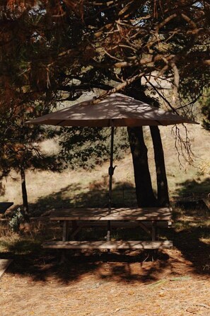 A wooden gazebo with a roof, surrounded by trees and natural ground.
