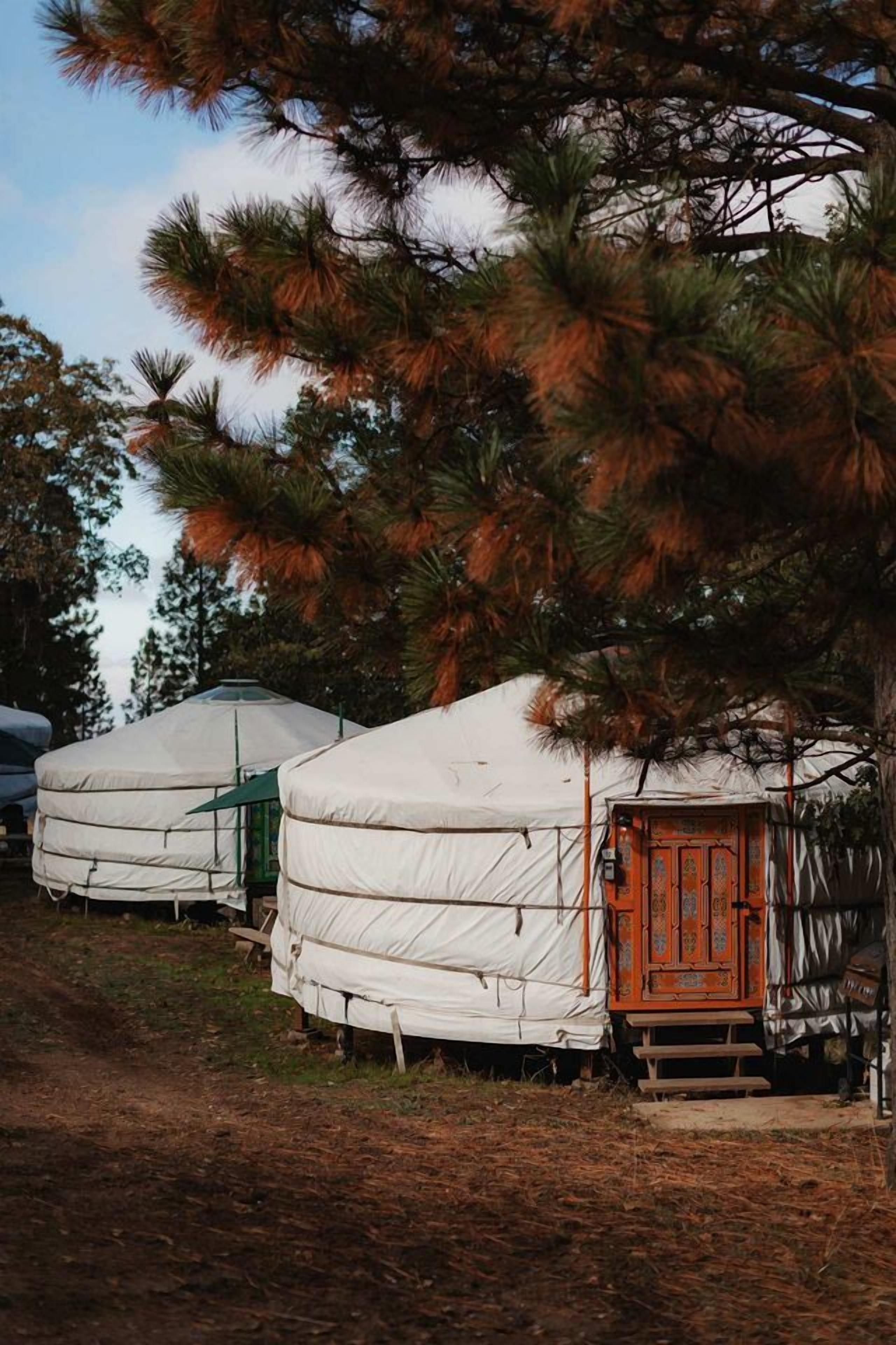 Yurts with a wooden door, surrounded by trees.
