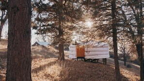 A rustic cabin in a forested area with a clear sky.