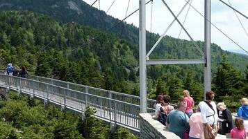 Un pont suspendu, avec un mur de pierre d’un côté et une montagne boisée en toile de fond.