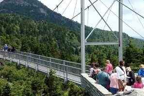 A suspension bridge with a stone wall on one side and a forested mountain backdrop.