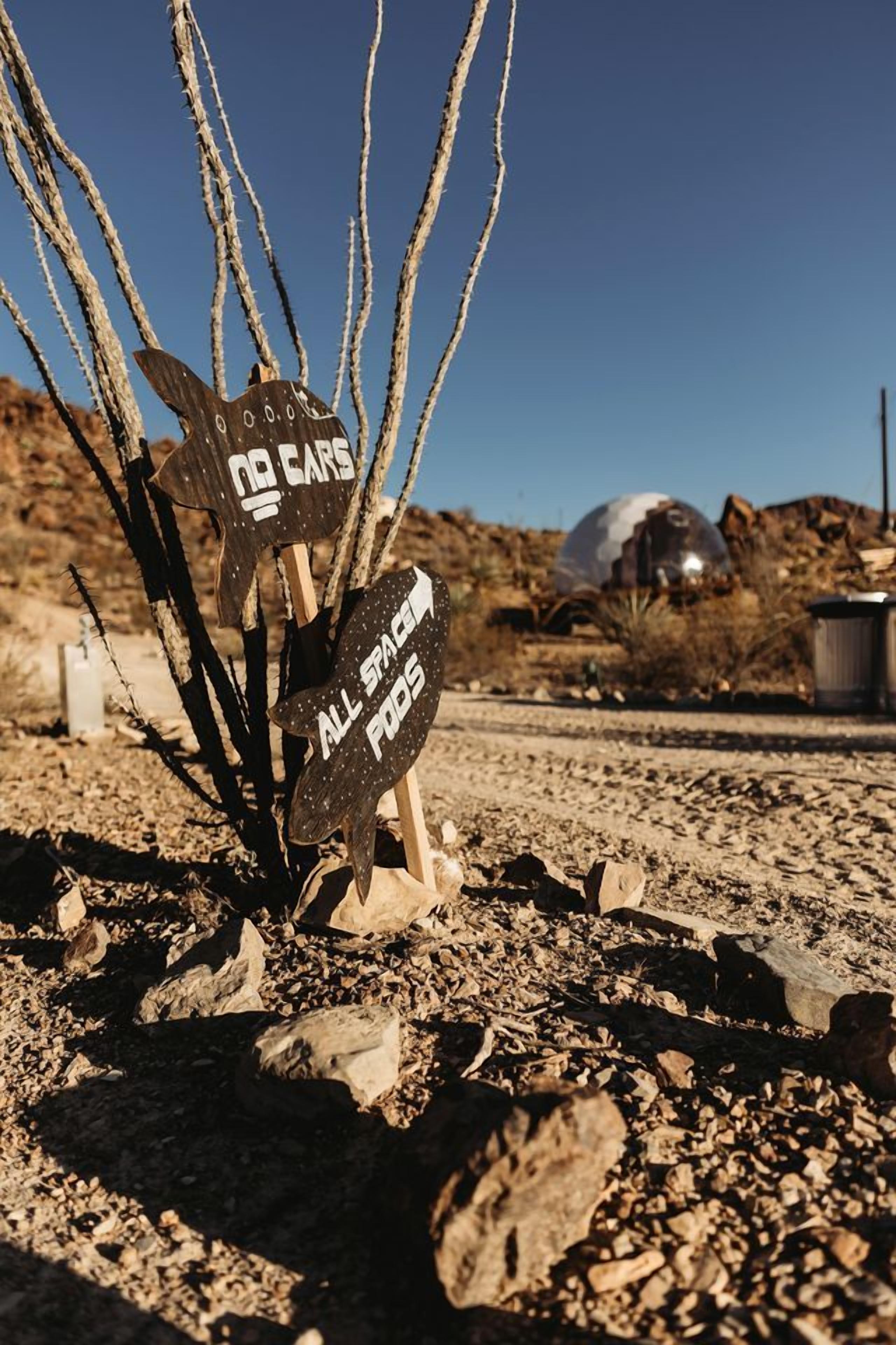 Paisaje desértico con un cactus y dos carteles que dicen 'NO CARS' y 'ALL SPACE FOOD'.