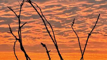 Silueta de un paisaje árido bajo un cielo al atardecer.