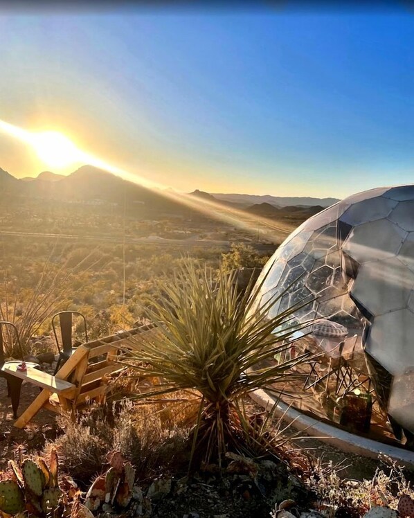 A desert landscape with a large transparent dome structure, a wooden chair, and a yucca plant.