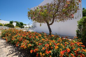 Áreas de la propiedad