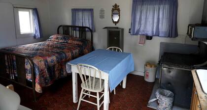 Rustic, Pet Friendly Cabin near the Cache la Poudre River, Perfect for a Mountain Getaway