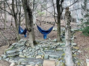 A stone pathway surrounded by trees with hammocks hanging between them. - Peaceful Cottage with Hot-tub in Fleetwood, North Carolina (Fleetwood)