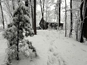 Une forêt enneigée avec un chalet.