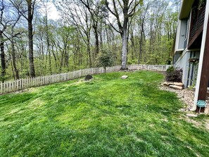 Property grounds - Amazing Cabin with Stunning Forest Sights in Chattanooga, Tennessee (Chattanooga)