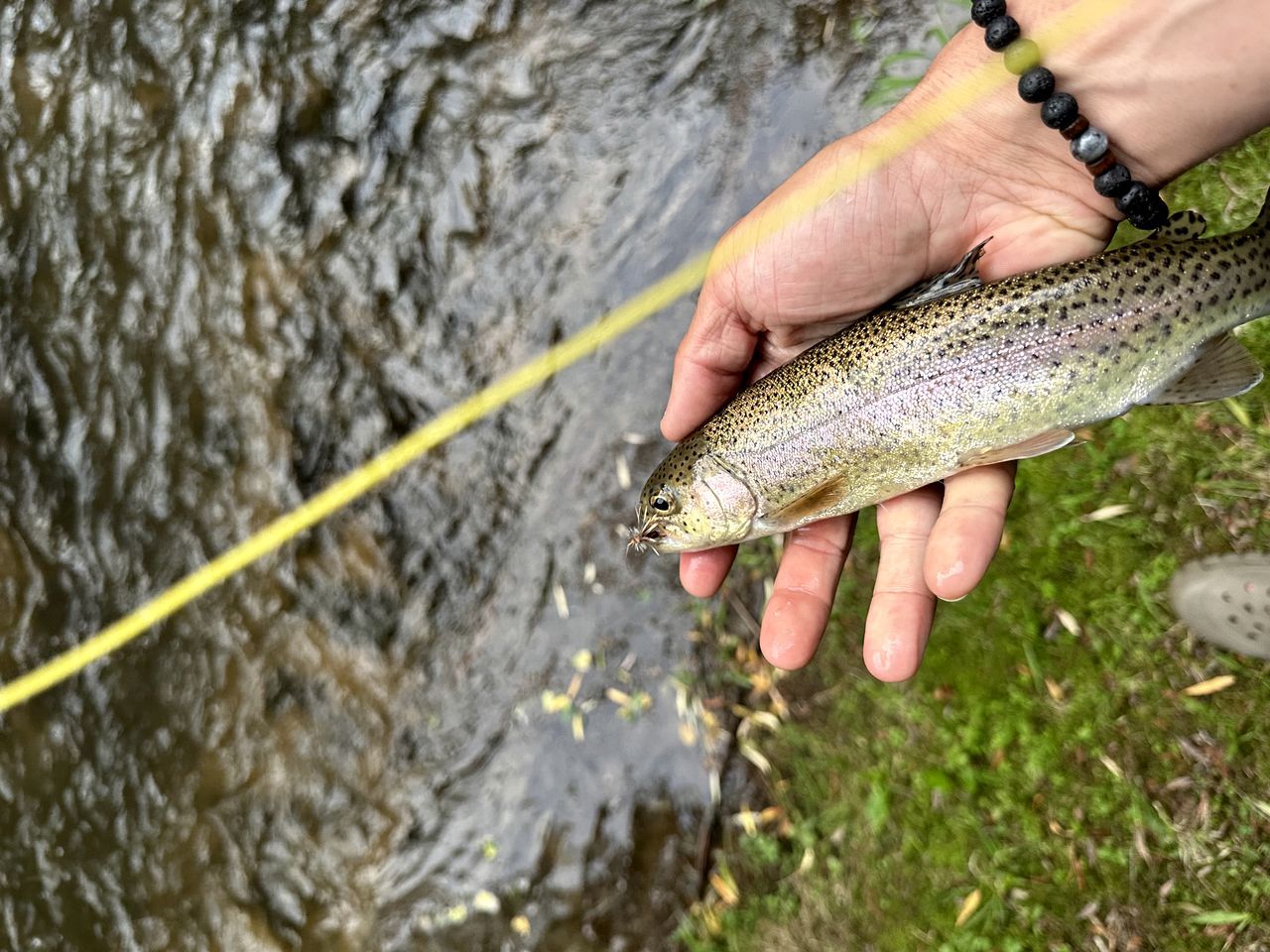 Uma pessoa segurando um peixe perto da água.