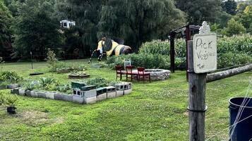 Un jardín con un letrero que dice 'Cosecha verduras'.
