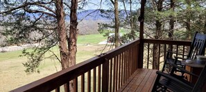 Property grounds - Rustic Elegance: Vintage Decor Cabin with Mountain Scenery in Sparta (Sparta)