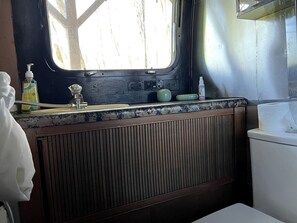 Bathroom - Breathtaking Airstream with Hot-tub and Petting Zoo in Sugar Grove, North Carolina (Sugar Grove)