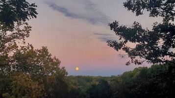 A sunset with a visible moon, surrounded by trees.