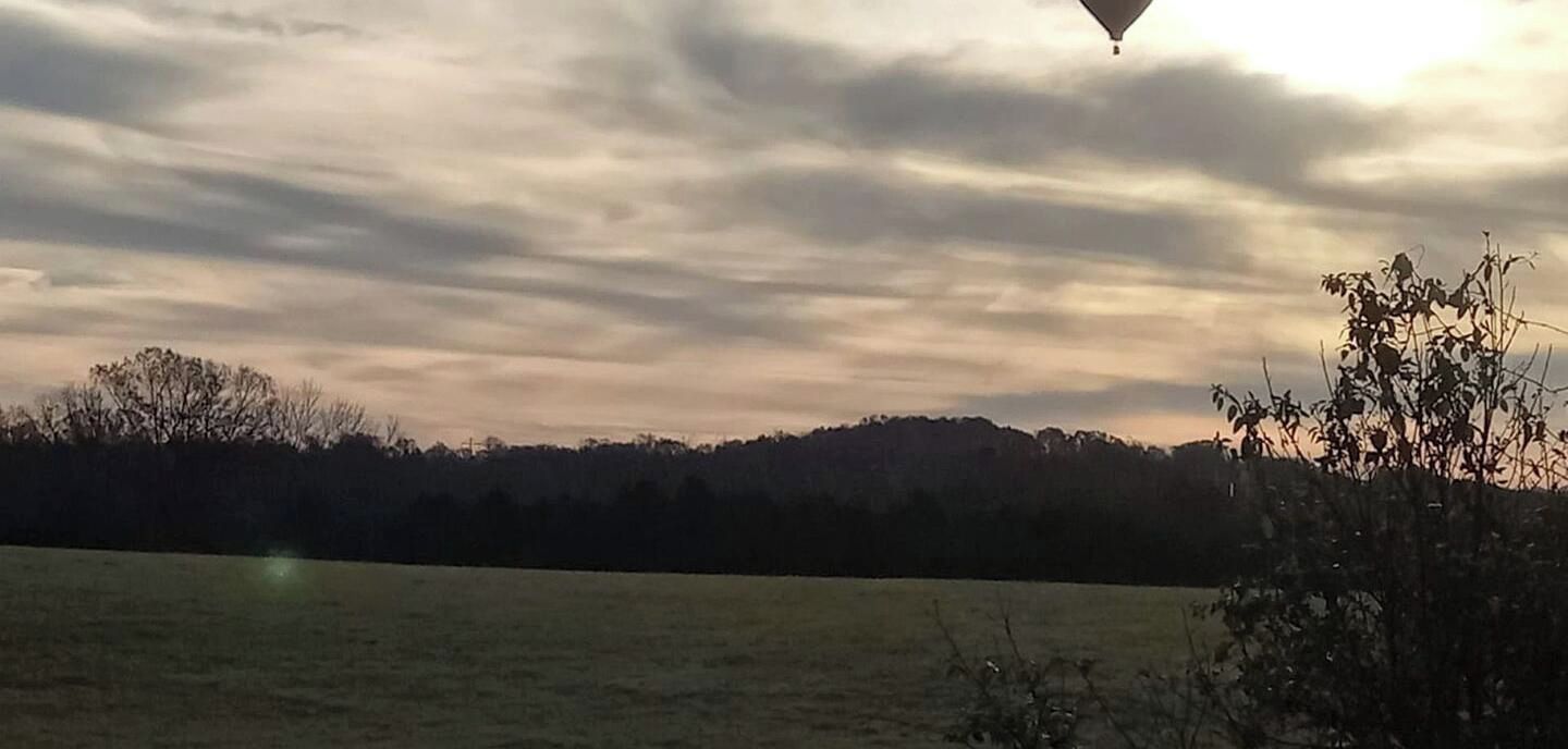 Un paisaje con un campo y árboles a lo lejos bajo un cielo nublado.