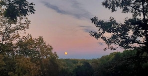 Un paysage avec un premier plan bordé d’arbres et un ciel dégagé.