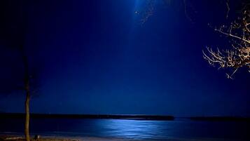 A nighttime scene with a clear view of a body of water, a tree, and a deer on the shore.