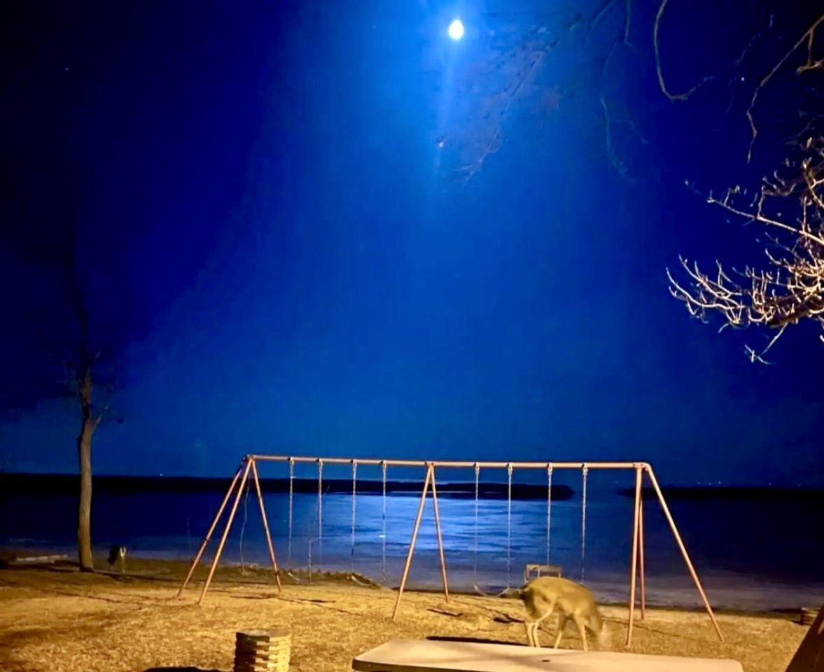 Overnatningsstedets område