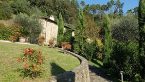 A stone pathway leading through a garden with a stone building, surrounded by various trees and shrubs. - "Casa il Noce" in the hills of Lucca with swimming pool 30 min from the sea of Viareggio (Pescaglia)