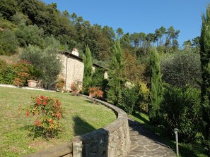 Property grounds - "Casa il Noce" in the hills of Lucca with swimming pool 30 min from the sea of Viareggio (Pescaglia)